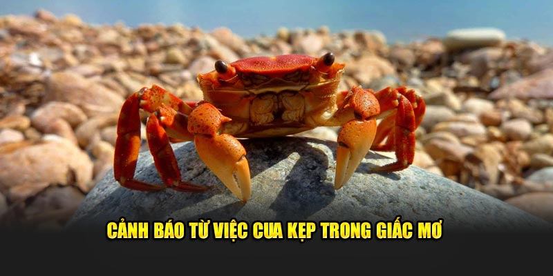Cảnh báo từ việc cua kẹp trong giấc mơ