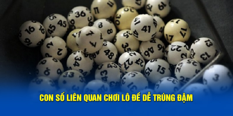 Số liên quan chơi lô đề dễ trúng đậm