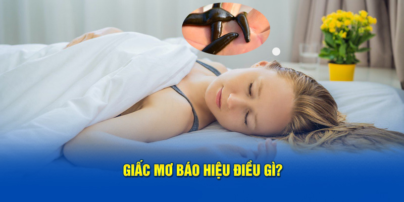 Giấc mơ báo hiệu điều gì?