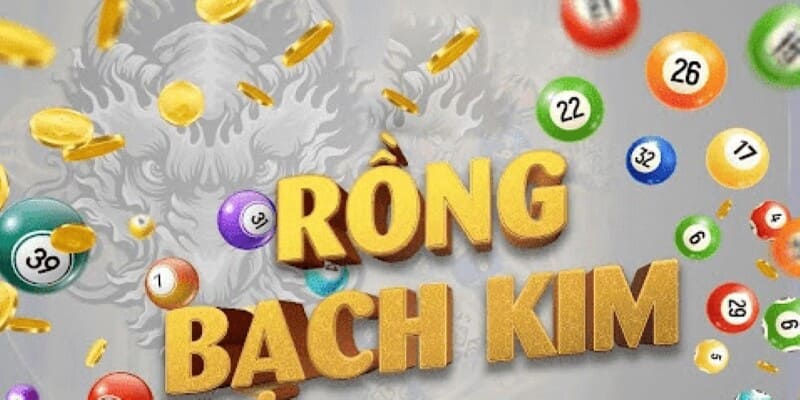 Các cách để đọc soi cầu rồng bạch kim cho người mới